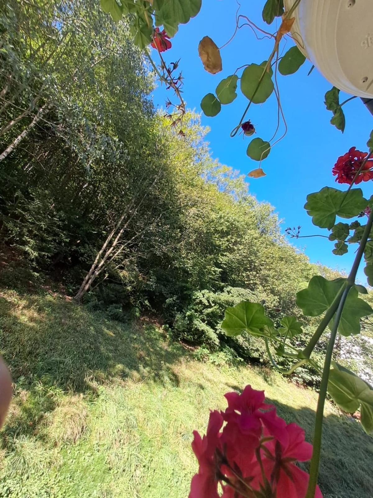 Appartamento Garsoniera Flori - Sinaia Esterno foto